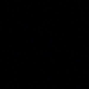 Meet your Posher, Sasha